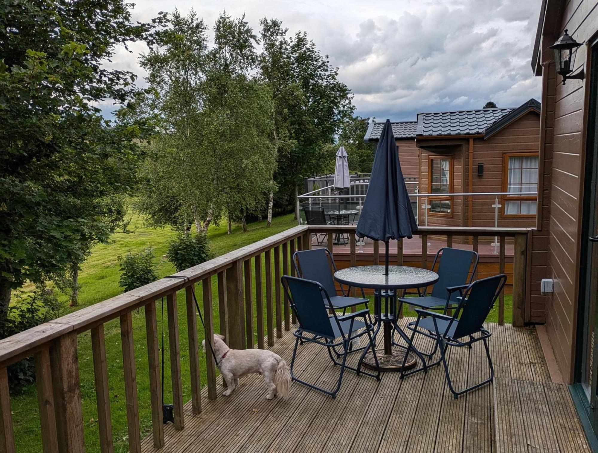 Rustic Lodge Retreat At Riverview Holiday Park Newcastleton Bagian luar foto
