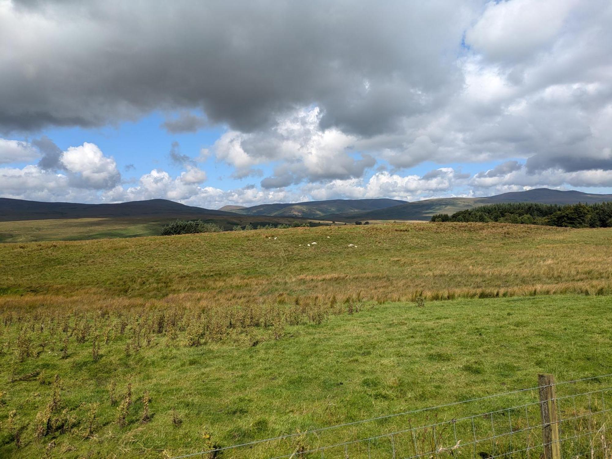 Rustic Lodge Retreat At Riverview Holiday Park Newcastleton Bagian luar foto