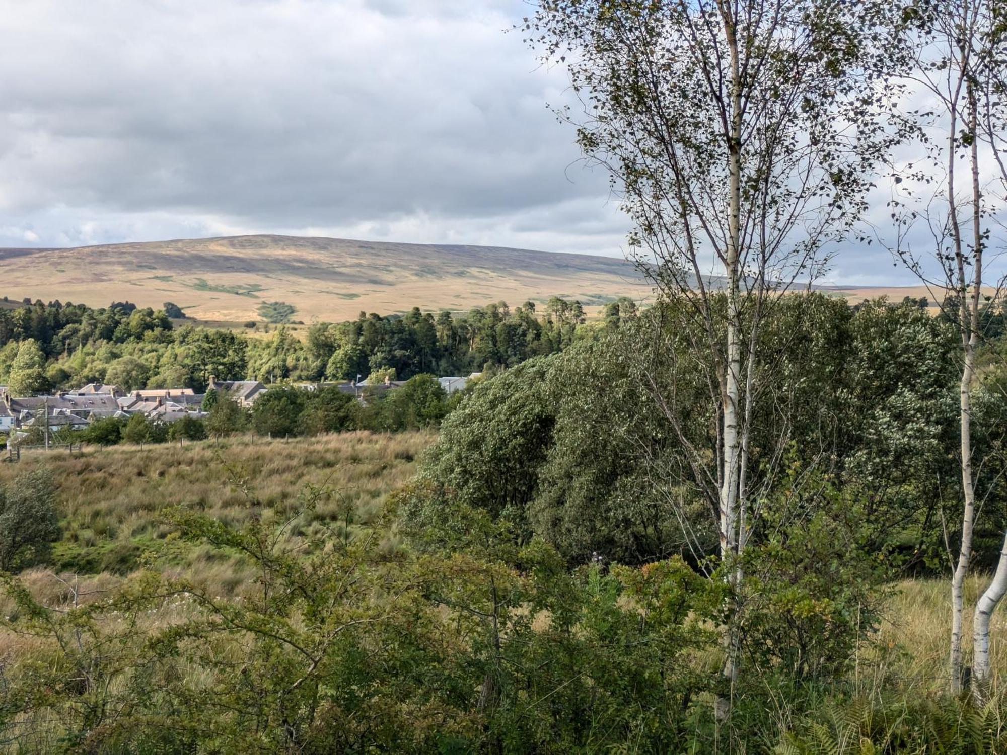 Rustic Lodge Retreat At Riverview Holiday Park Newcastleton Bagian luar foto